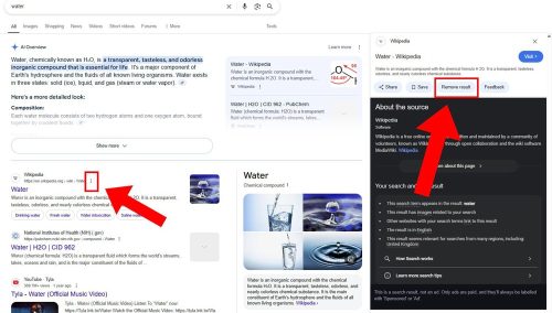 remove-results-google