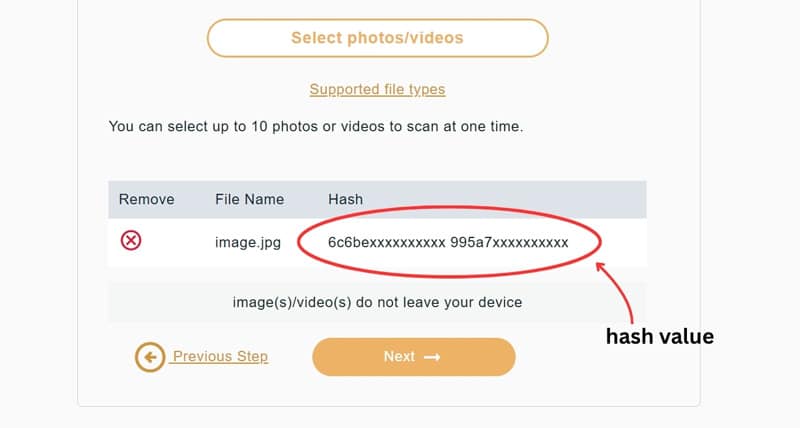 Take It Down hash value example, an alphanumeric fingerprint generated for a submitted file