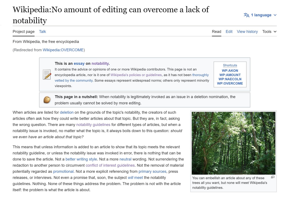wikipedia notability guidelines