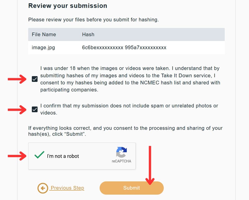 Take It Down submission review screen with file name, hash value, and consent checkboxes before clicking Submit